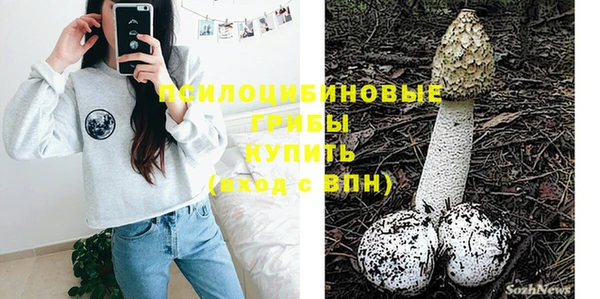 PSILOCYBIN Балахна