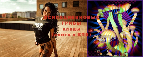 apvp Балабаново