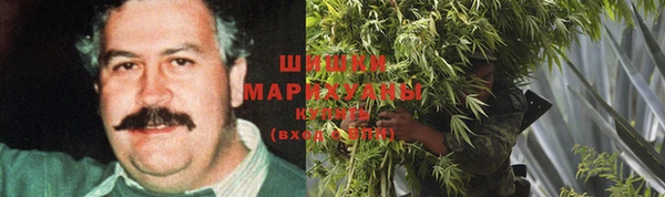 PSILOCYBIN Балахна