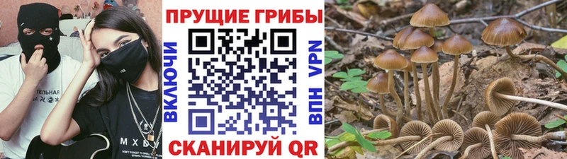 Галлюциногенные грибы MAGIC MUSHROOMS  даркнет сайт  Кузнецк 