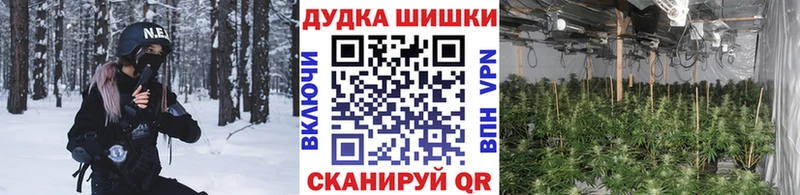 Бошки Шишки сатива  как найти   Кузнецк 